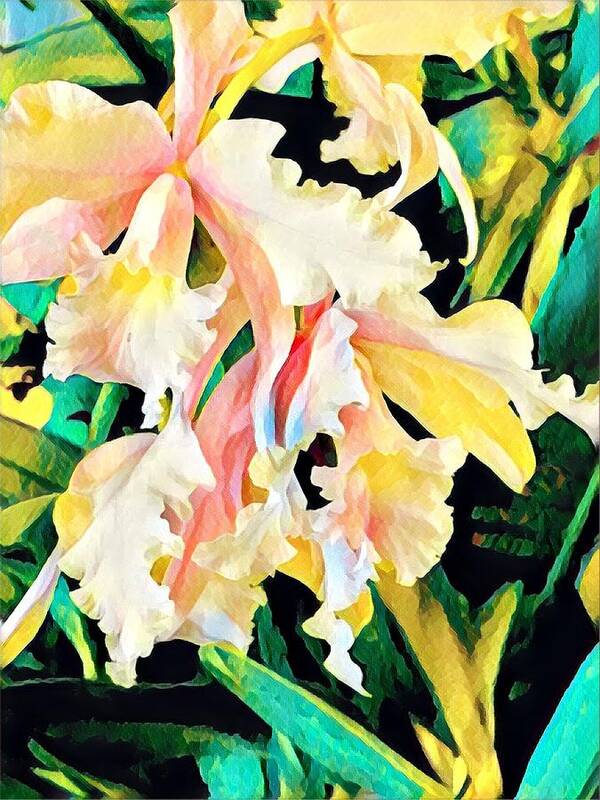 #flowersofaloha #orchids Art Print featuring the photograph Two Orchids Pink Turquoise by Joalene Young