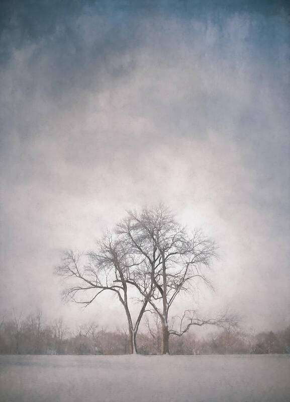 Scott Norris Photography Art Print featuring the photograph Two Trees by Scott Norris