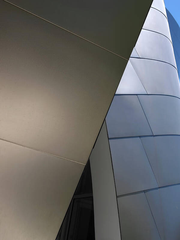 Disney Hall Art Print featuring the photograph Unconventional Construction by Rona Black