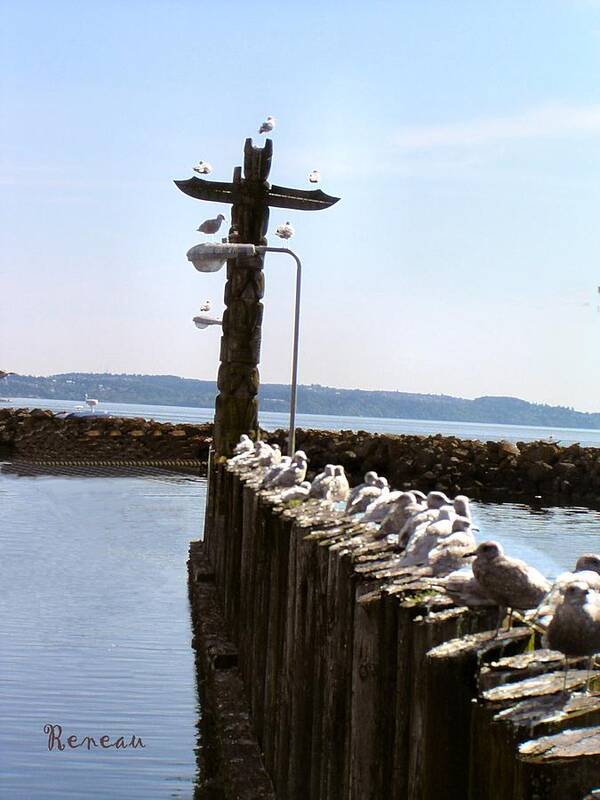 Birds Art Print featuring the photograph Unemployment Line For Gulls by A L Sadie Reneau