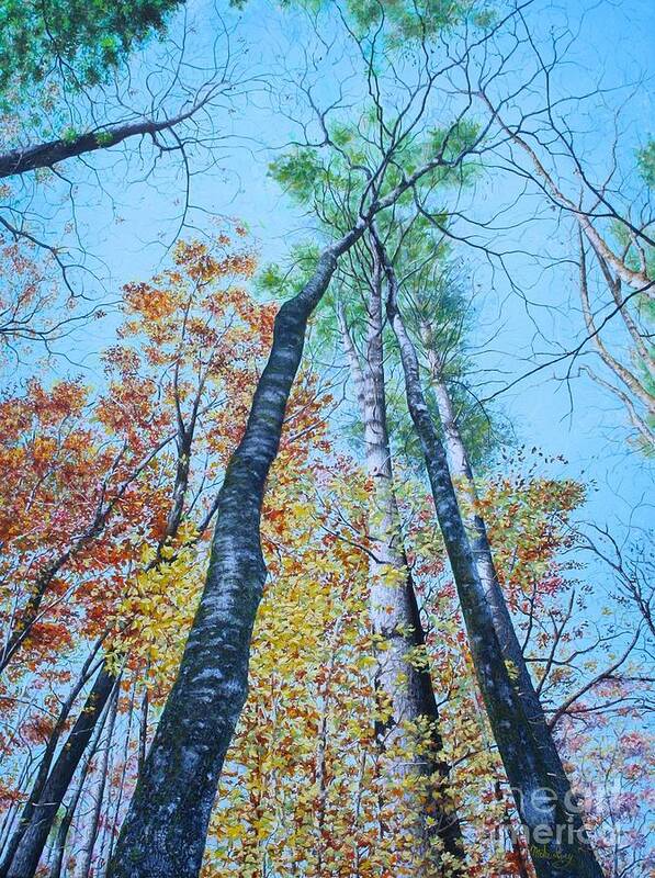 Joyce Kilmore Memorial Forest Art Print featuring the painting Up Into The Trees by Mike Ivey