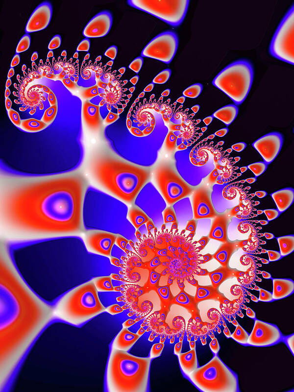 Spiral Art Print featuring the digital art Vivid happy fractal spiral red blue black by Matthias Hauser