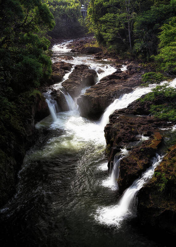 Waterfall Art Print featuring the photograph Wainaku Street Falls by Susan Rissi Tregoning