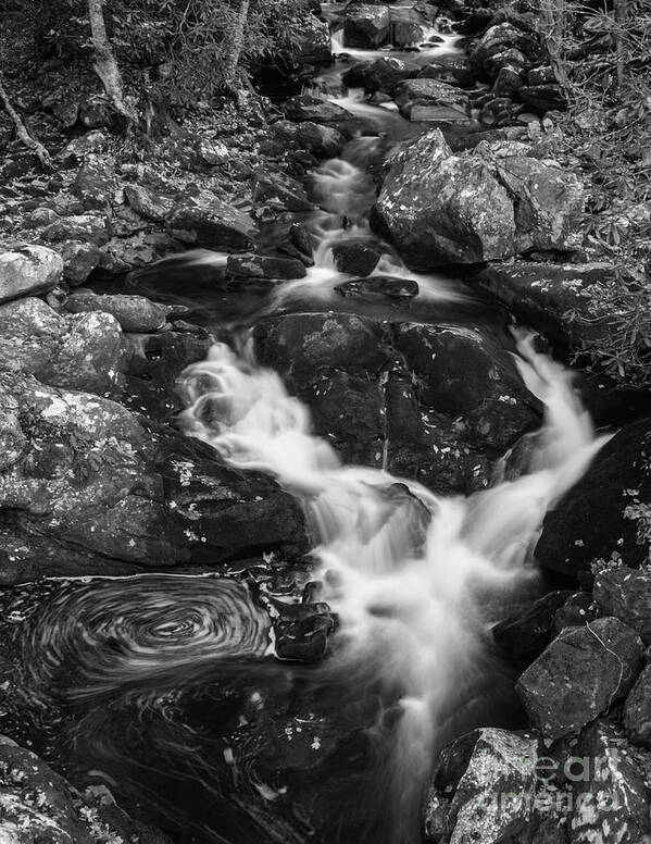 Stream Art Print featuring the photograph Watching the River Flow by John Greco