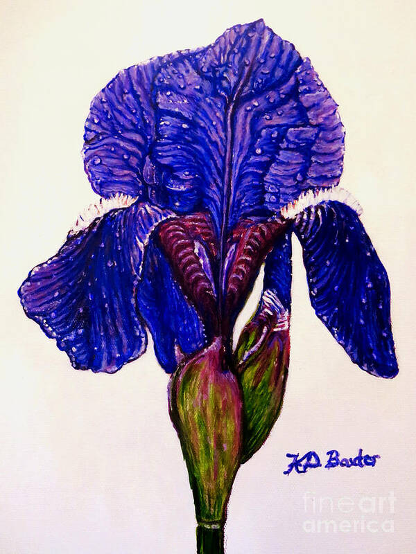 Siberian Iris With Raindrops Deep Purple Blue Or Lapis Blue Magenta Tinged Leaves And Newly Formed Buds On Stem Upright Form Neutral White Off White Background Acrylic Painting Iris Paintings Flower Paintings Stationery And Decor Art Stamp Art Print featuring the painting Weeping Iris by Kimberlee Baxter