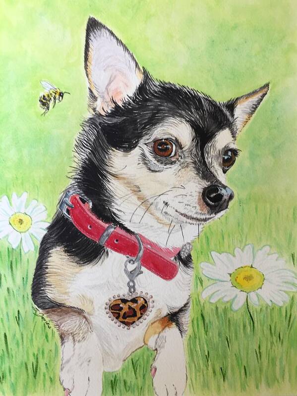 Chihuahua Art Print featuring the painting What's the Buzz? by Sonja Jones