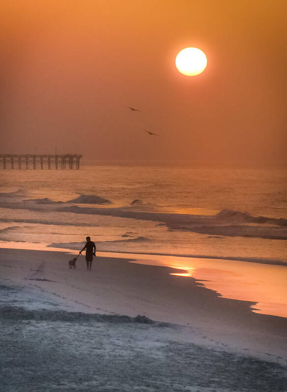 Beach Walks Art Print featuring the photograph When Salt Is Sweet by Karen Wiles