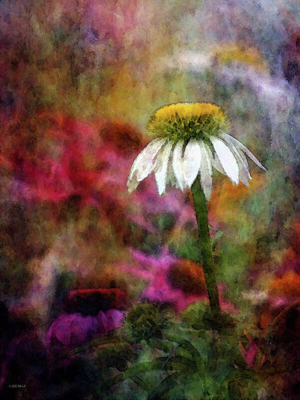 Impressionist Art Print featuring the photograph White Coneflower 2553 IDP_2 by Steven Ward