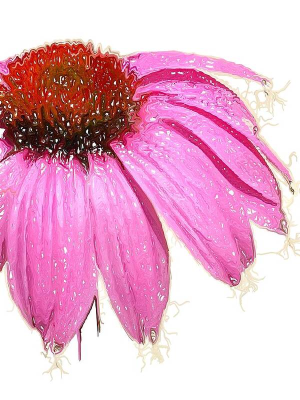  Art Print featuring the photograph Wild Flower One by Heidi Smith
