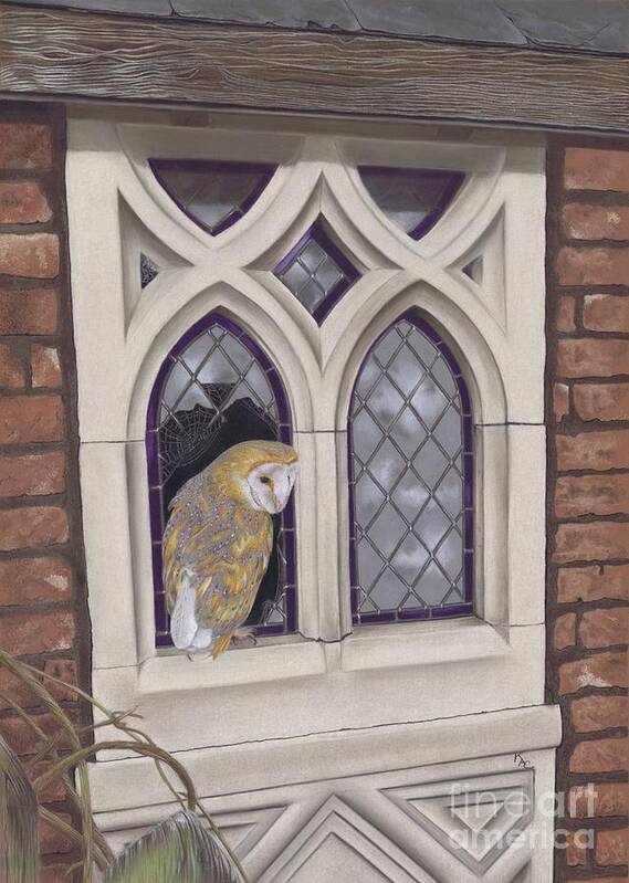 Owl Art Print featuring the painting Window Shopping by Karie-ann Cooper