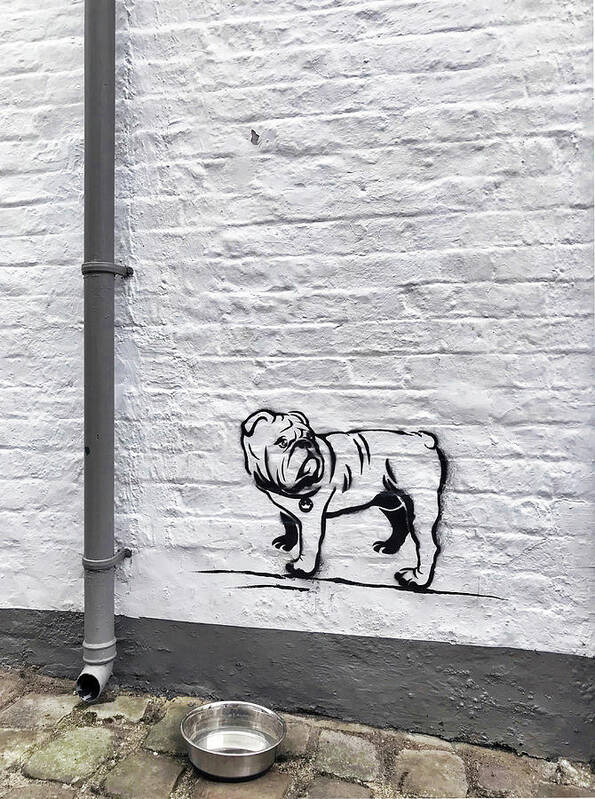 Dog Pug Bulldog Wall Windsor Bowl Alley Art Print featuring the photograph Windsor wall art by Nora Martinez