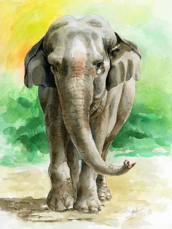 Elephant Art Print featuring the painting Winky by Galen Hazelhofer