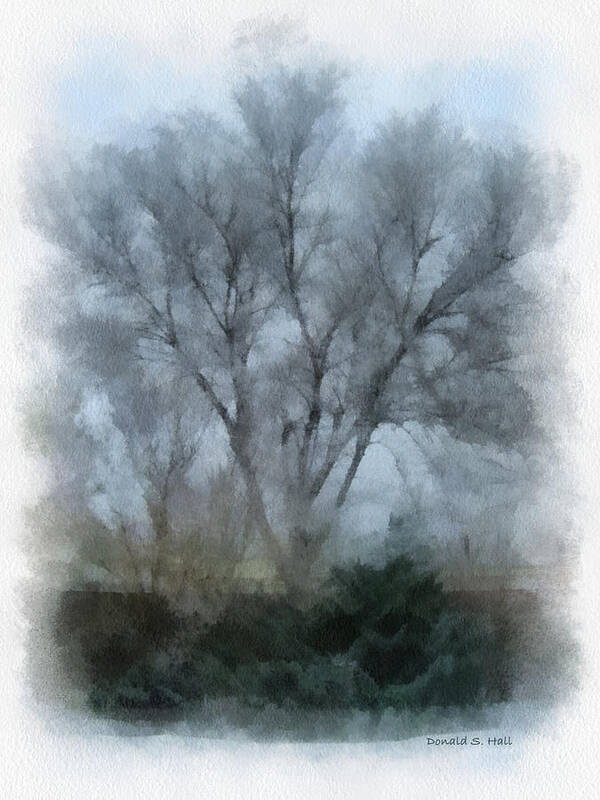 Winter Landscape Art Print featuring the digital art Winter Trees by Donald S Hall