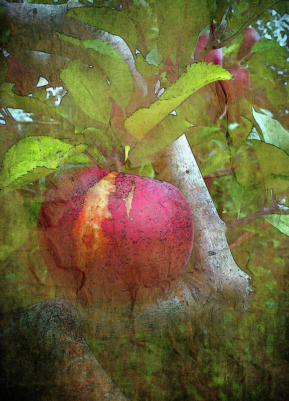 Apple Art Print featuring the photograph Without Consequence II by Char Szabo-Perricelli