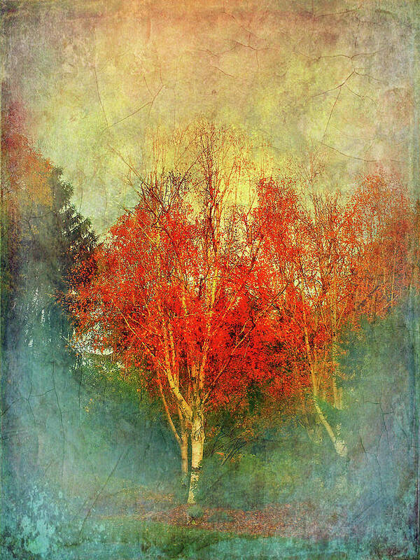 Connie Handscomb Art Print featuring the photograph Wood Fire by Connie Handscomb