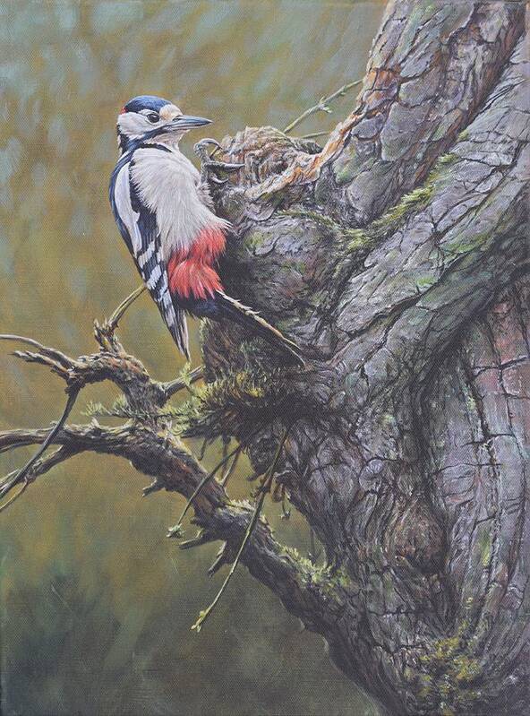 Wildlife Paintings Art Print featuring the painting Woodpecker on Tree by Alan M Hunt