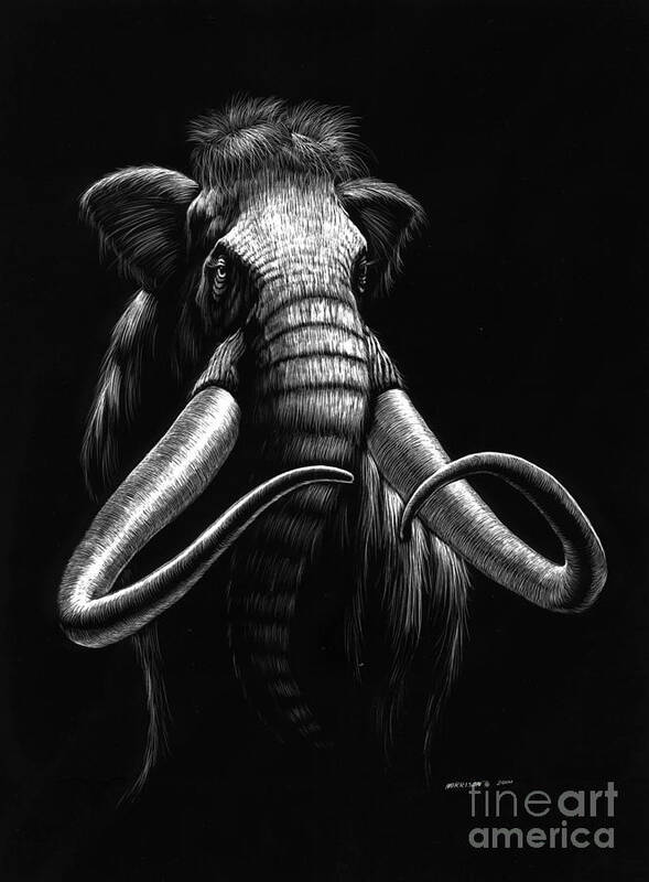 Wildlife Art Print featuring the drawing Woolly Mammoth by Stanley Morrison