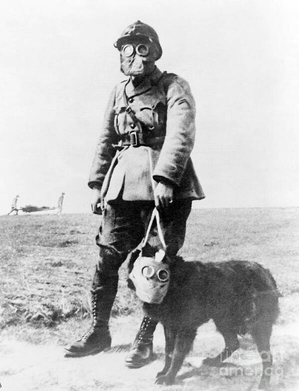 History Art Print featuring the photograph Wwi, French Soldier And Dog Wearing Gas by Science Source
