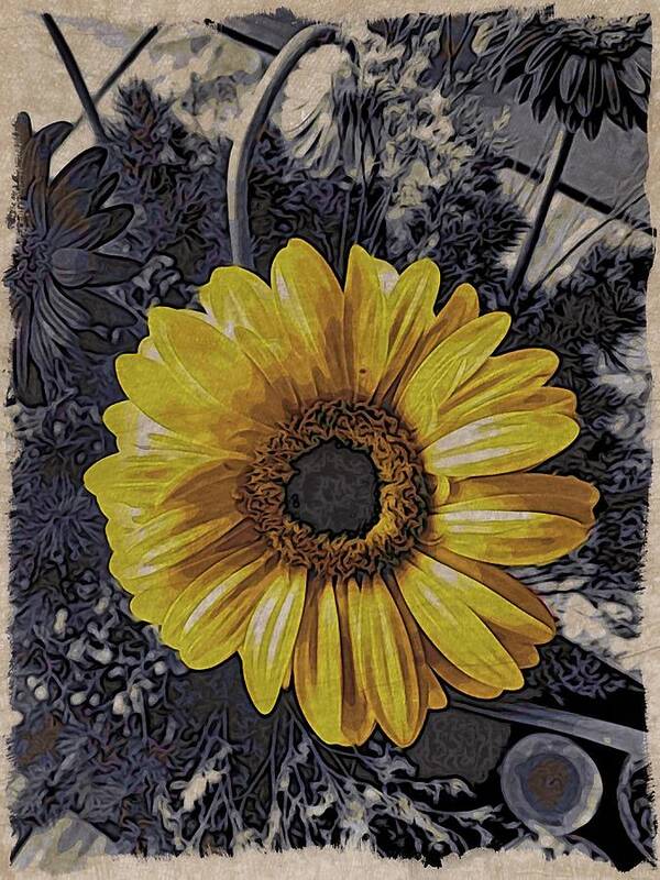Mark J Dunn Art Print featuring the photograph Yellow Daisy by Mark J Dunn