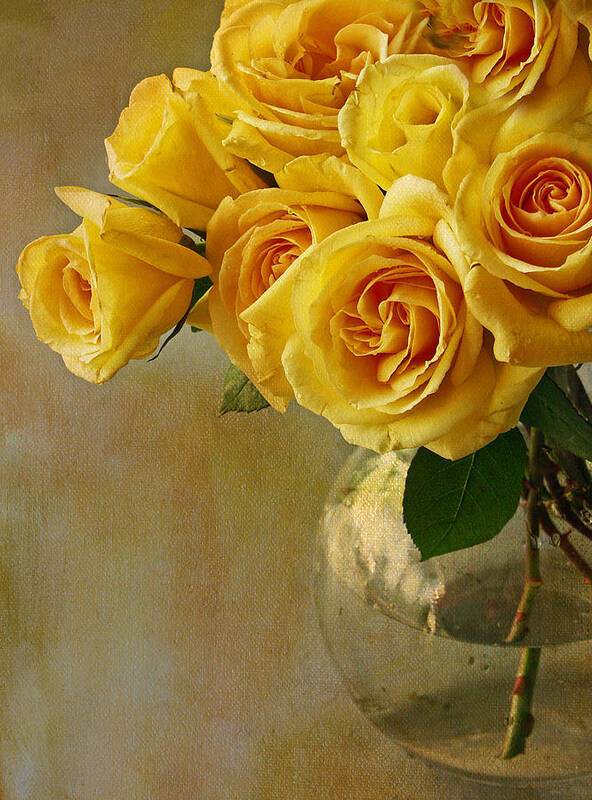 Roses Art Print featuring the photograph Yellow Rose Of... by Rebecca Cozart