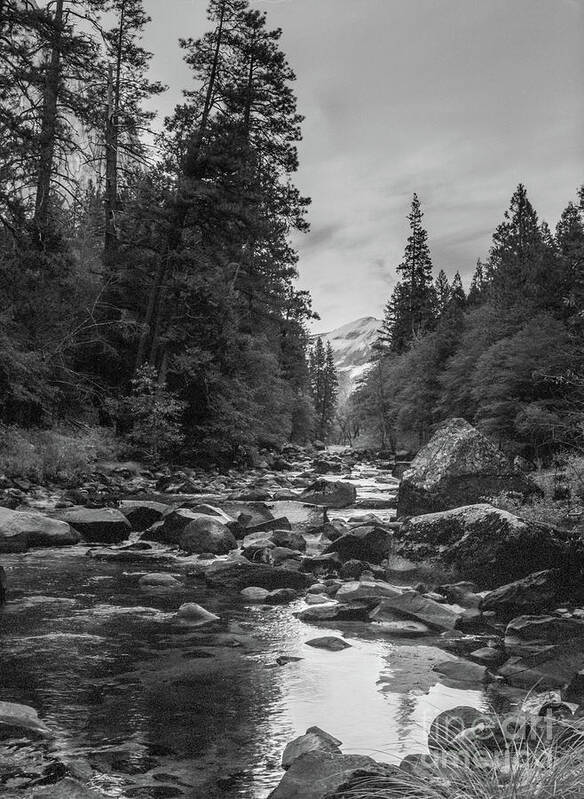 Yosemite Art Print featuring the photograph Yosemite River by Paul Quinn