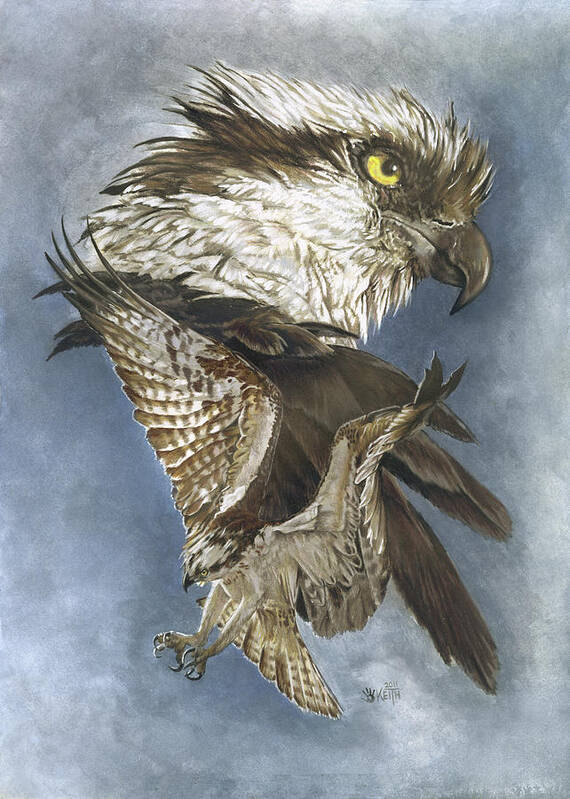 Osprey Art Print featuring the painting Assail #1 by Barbara Keith