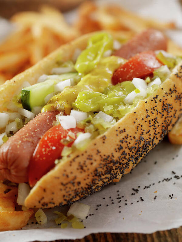 Pub Food Art Print featuring the photograph Classic Chicago Dog With Fries #1 by Lauripatterson