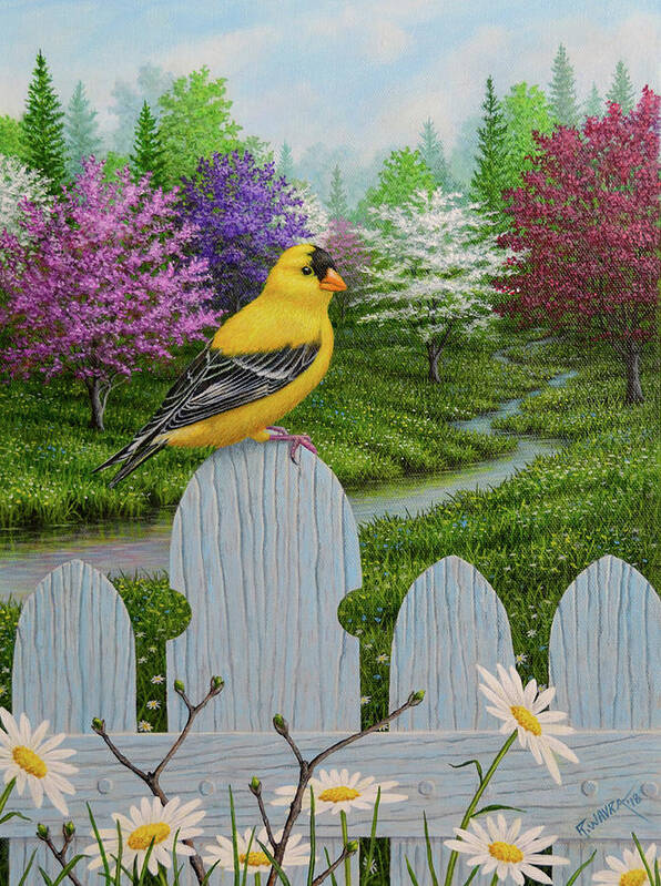 Goldfinch And Daisies Art Print featuring the photograph Goldfinch And Daisies #1 by Robert Wavra