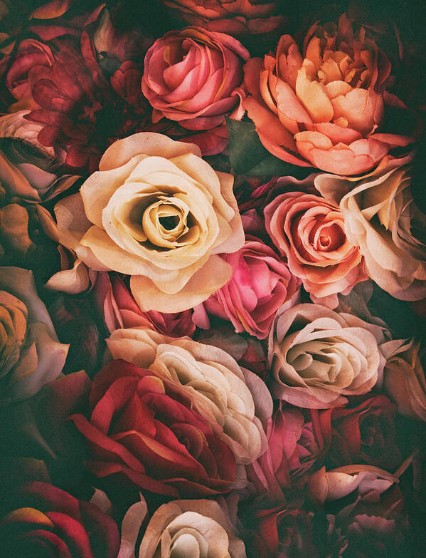 Roses Art Print featuring the photograph Passion Petals by Jessica Jenney