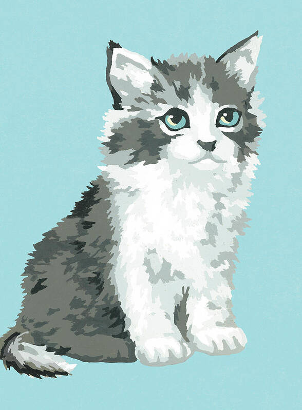 Animal Art Print featuring the drawing Kitten #2 by CSA Images