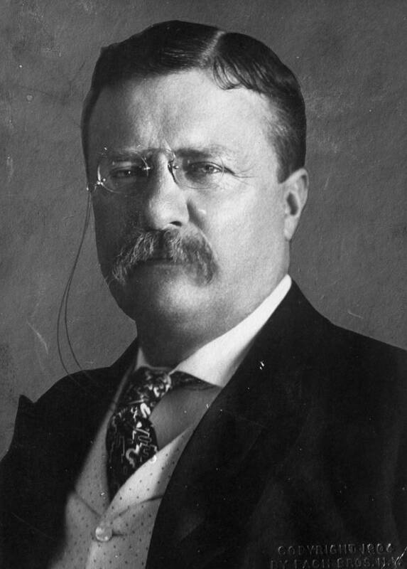 Theodore Roosevelt - Us President Art Print featuring the photograph Theodore Roosevelt #2 by Hulton Archive