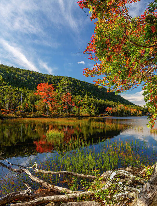 Maine Art Print featuring the photograph Acadia Glow by Karin Pinkham