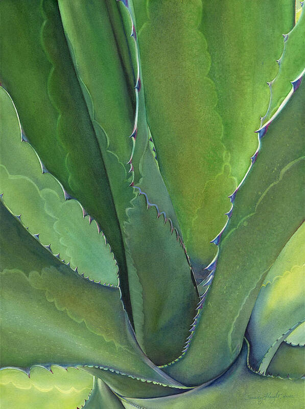 Agave Art Print featuring the painting Agave Verde by Sandy Haight