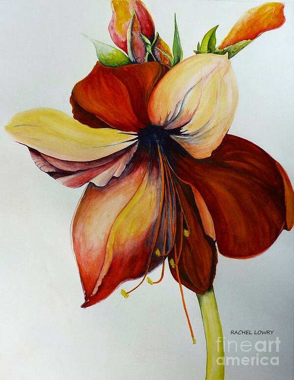 Red Art Print featuring the painting Amerylis/Amaryllis by Rachel Lowry