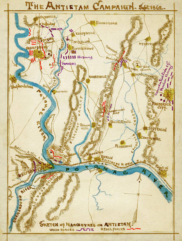 Map Art Print featuring the painting Battle of Antietam Creek or Sharpsburg by Robert Knox Sneden