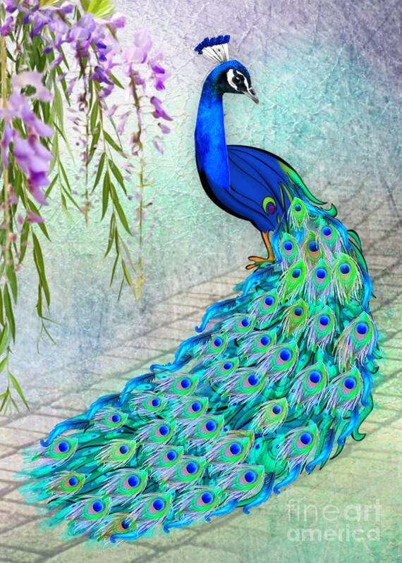 Peacock Art Print featuring the digital art Beautiful Peacock by Morag Bates