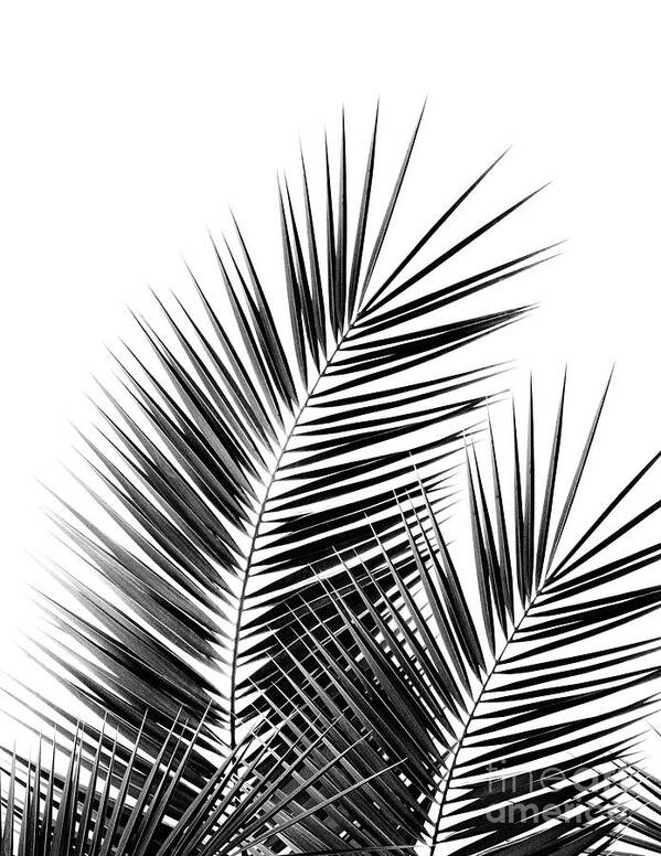 Black And White Art Print featuring the photograph Black Palm Leaves Dream - Cali Summer Vibes #1 #tropical #decor #art by Anitas and Bellas Art