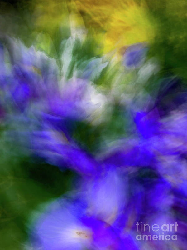 Abstract Art Print featuring the photograph Blue and yellow flower abstract by Phillip Rubino