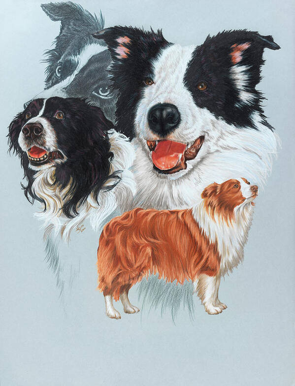 Boarder Collie Art Print featuring the painting Boarder Collie by Barbara Keith
