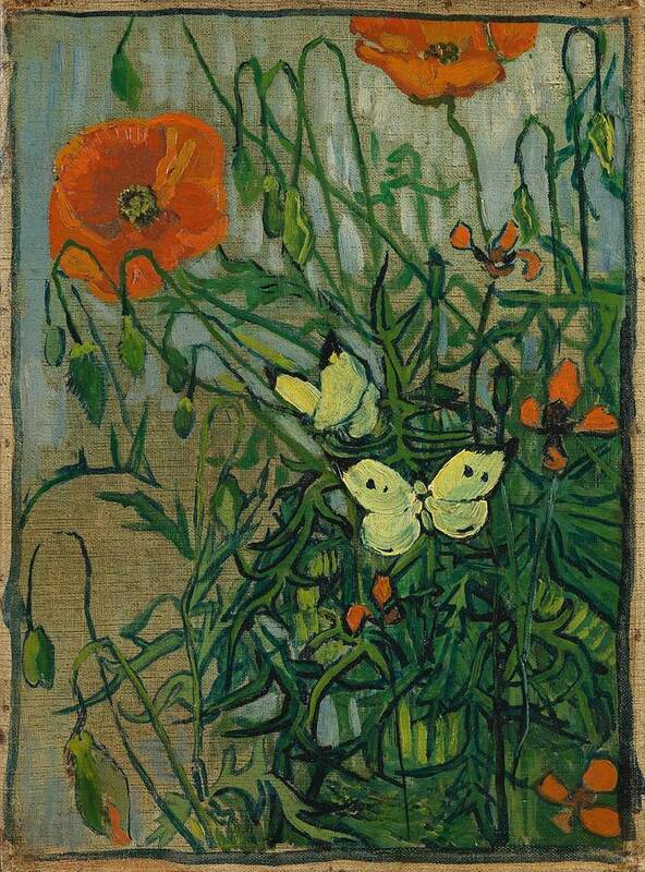 Oil On Canvas Art Print featuring the painting Butterflies and Poppies. by Vincent van Gogh -1853-1890-