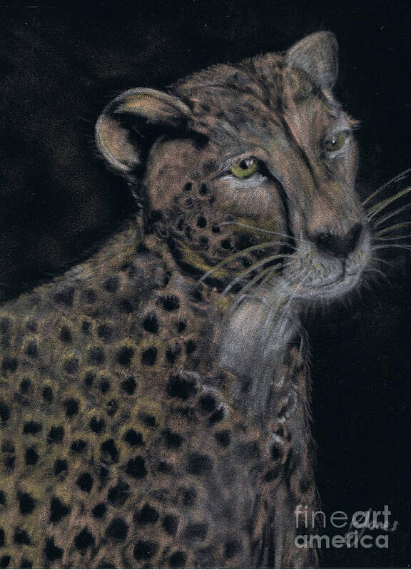 Cheetahs Art Print featuring the pastel Cheetah Portrait in Pastels by Karen Jane Jones
