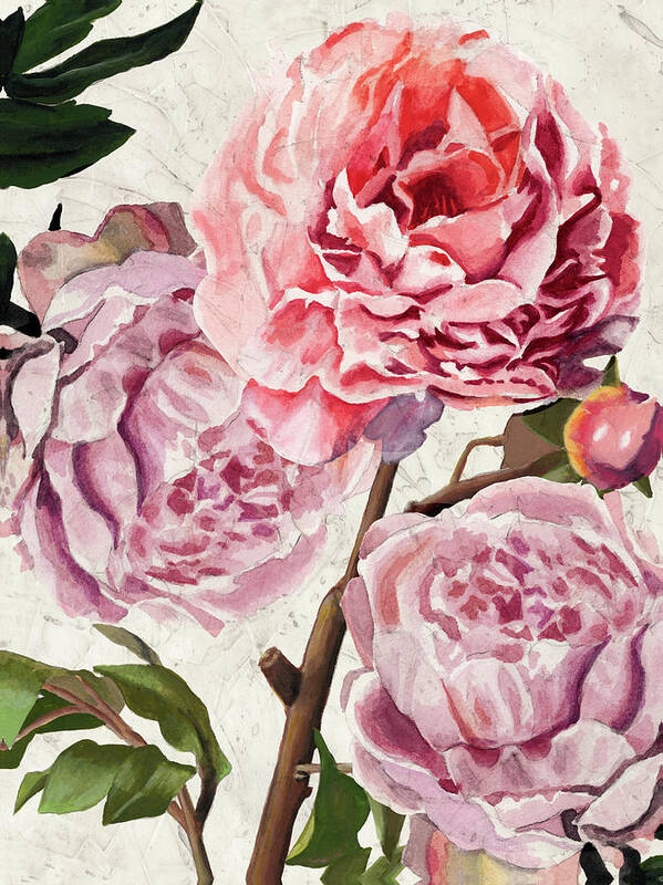 Botanical & Floral Art Print featuring the painting Colossal Floral by Naomi Mccavitt