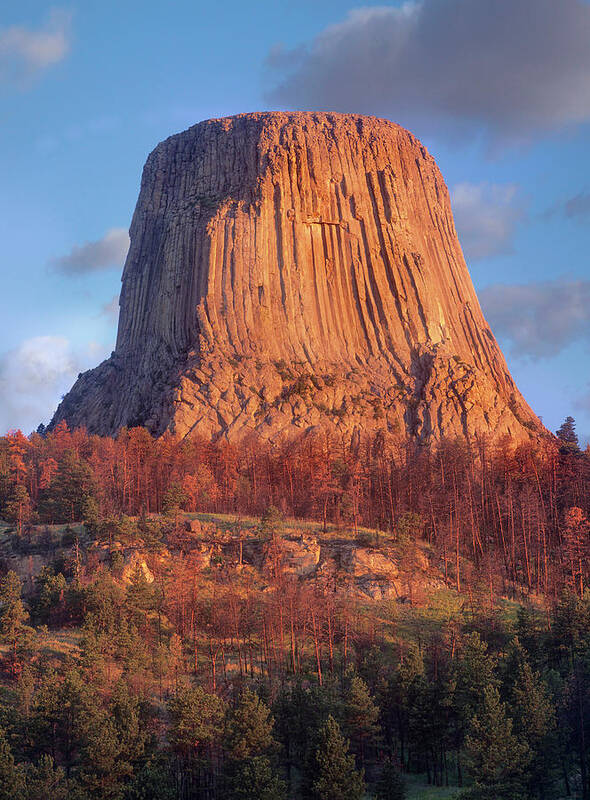 00586335 Art Print featuring the photograph Devils Tower Nm, Wyoming by Tim Fitzharris