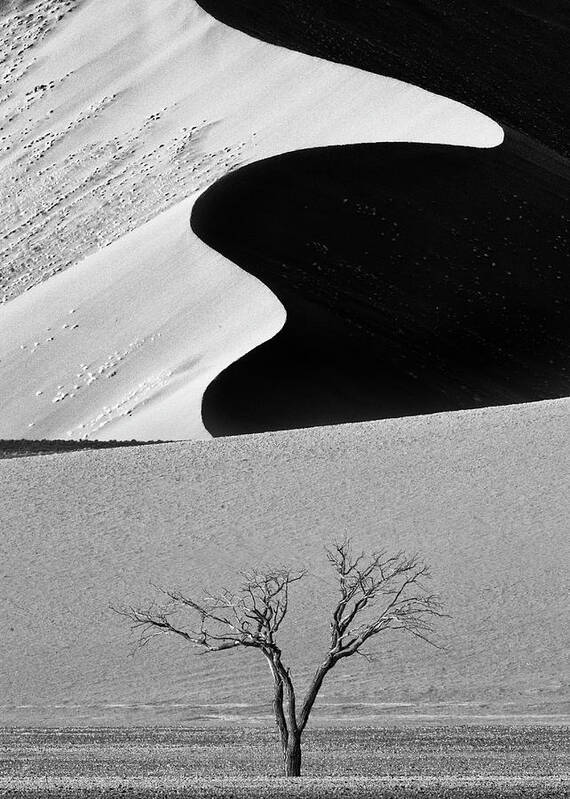 Namibia Art Print featuring the photograph Dune Curves by Ali Khataw