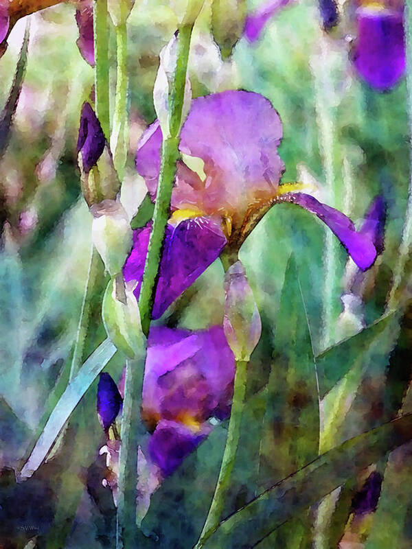 Impressionist Art Print featuring the photograph Early Irises 6818 IDP_2 by Steven Ward