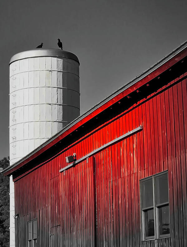 Barn Art Print featuring the photograph Fading Barn by Jack Wilson