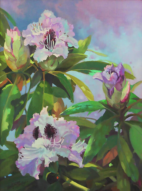 Flowers Art Print featuring the painting Rhododendrons by Carolyne Hawley