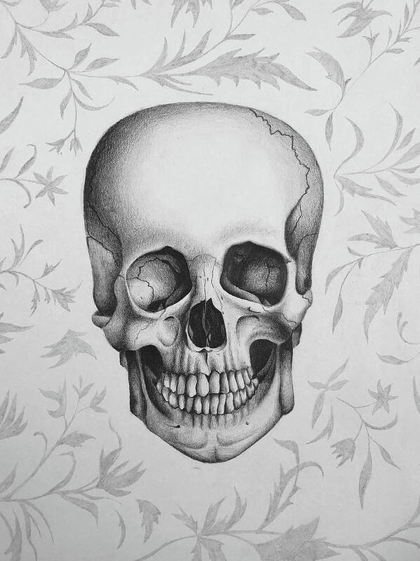 Skull Art Print featuring the drawing Floral Skull by Kate Denny