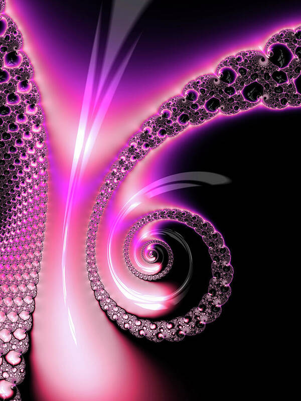 Spiral Art Print featuring the photograph Fractal Spiral pink purple and black by Matthias Hauser