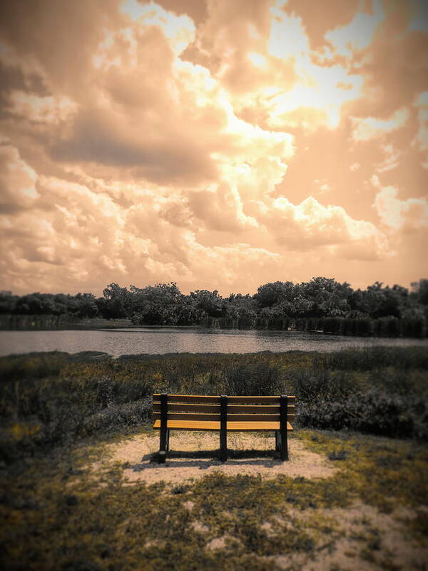 Bench Art Print featuring the digital art From Here to Eternity by Robert Stanhope